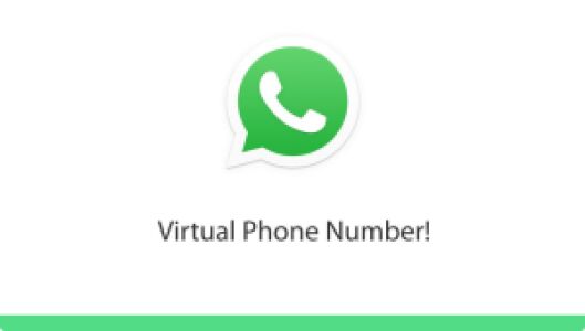Virtual Numbers